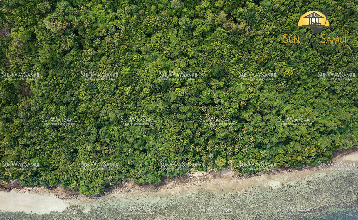 Finest Waterfront Land in Phang Ka, Koh Samui for sale