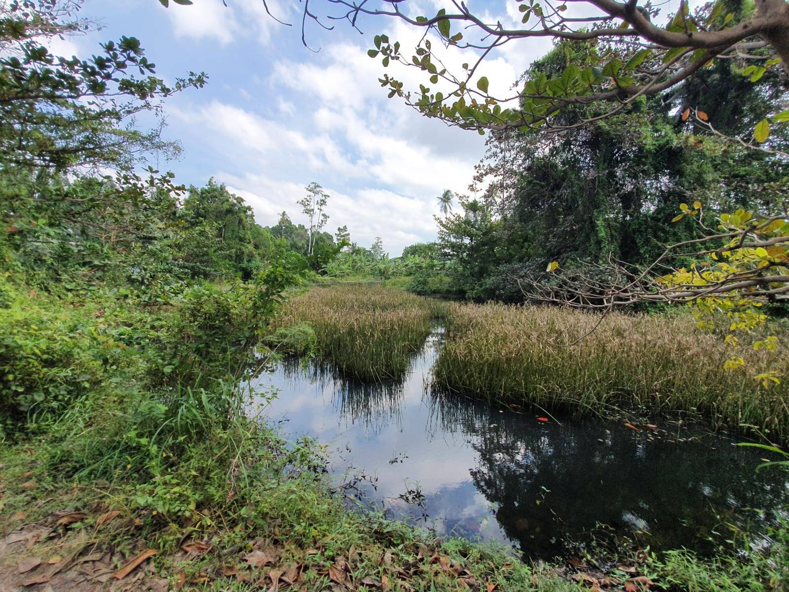 (SOLD) Beach front Land for sale, Bangkao