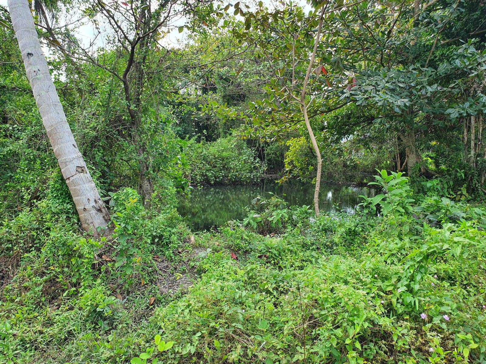 (SOLD) Beach front Land for sale, Bangkao