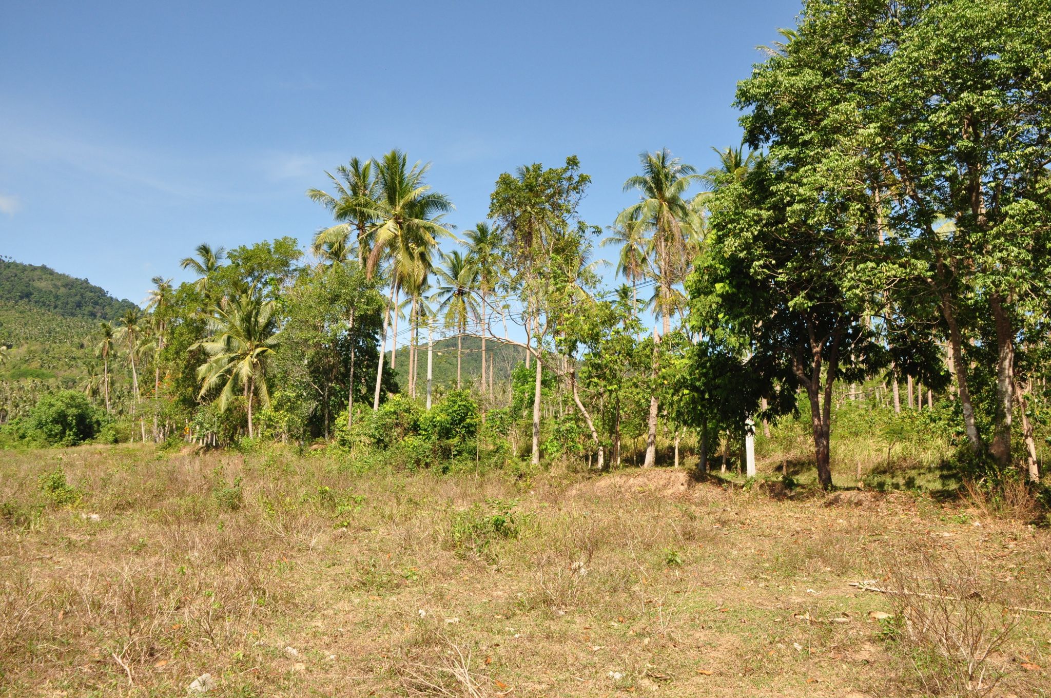 Affordable Plots of Land in Meanam 