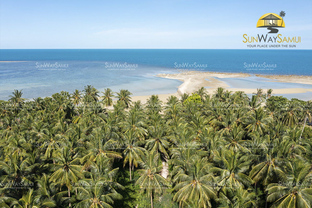 Ultimate 9 Rai Beachfront Land in Hua Thanon for sale