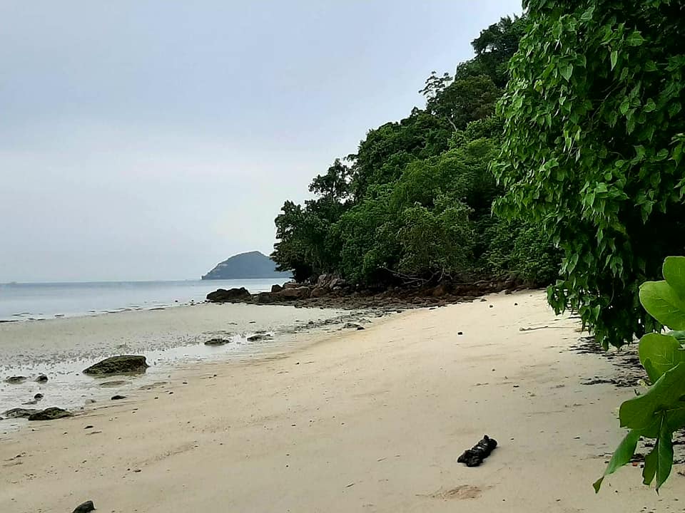 15 Rai beach front land with 300 meters beach front in Koh Tean