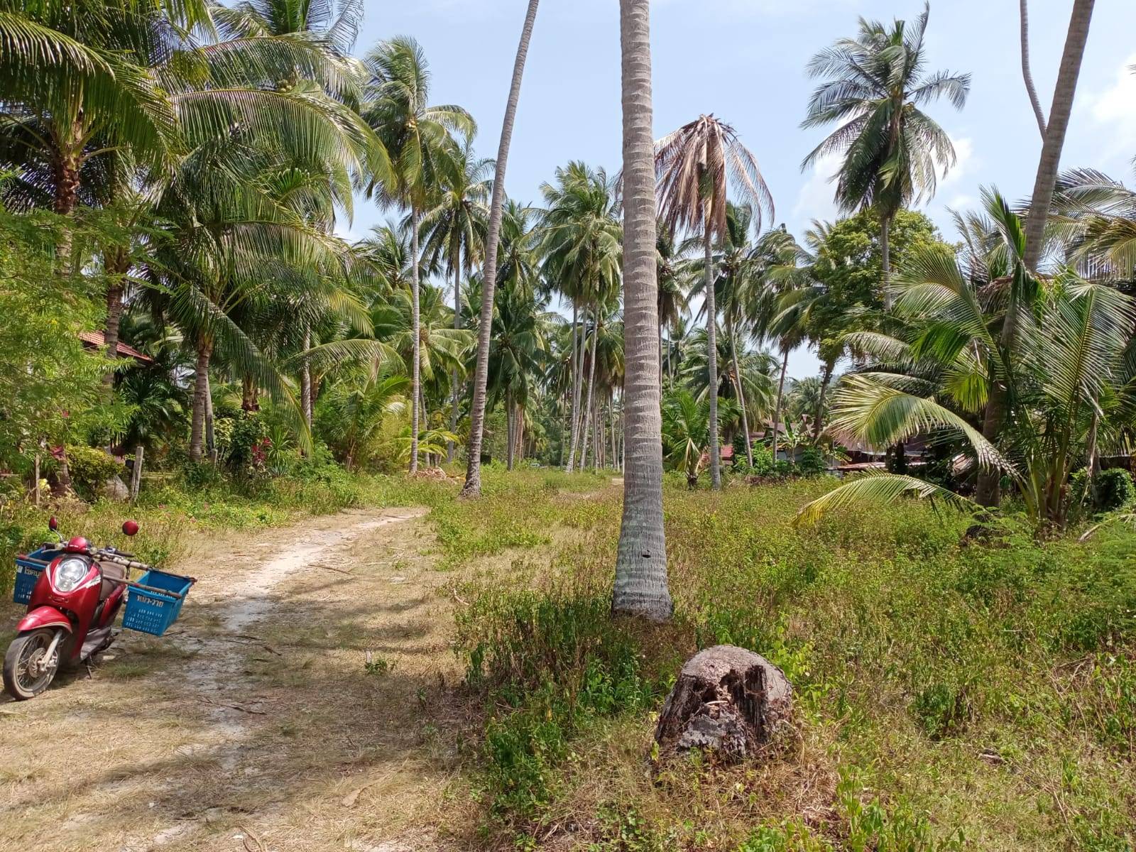 (SOLD) Beautiful Beach front Land for sale, Talingnam