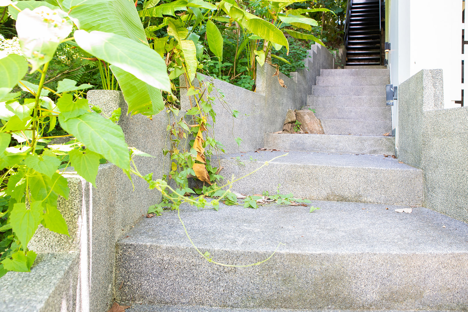 Chic 5 Bedroom Seaview Pool Villa in Chaweng for Sale