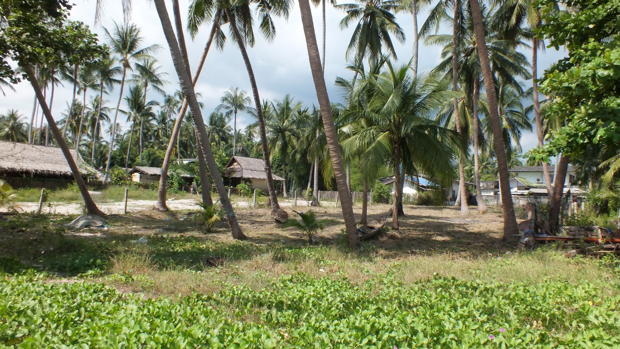 Taling Ngam Beach Plot Of Land for Sale