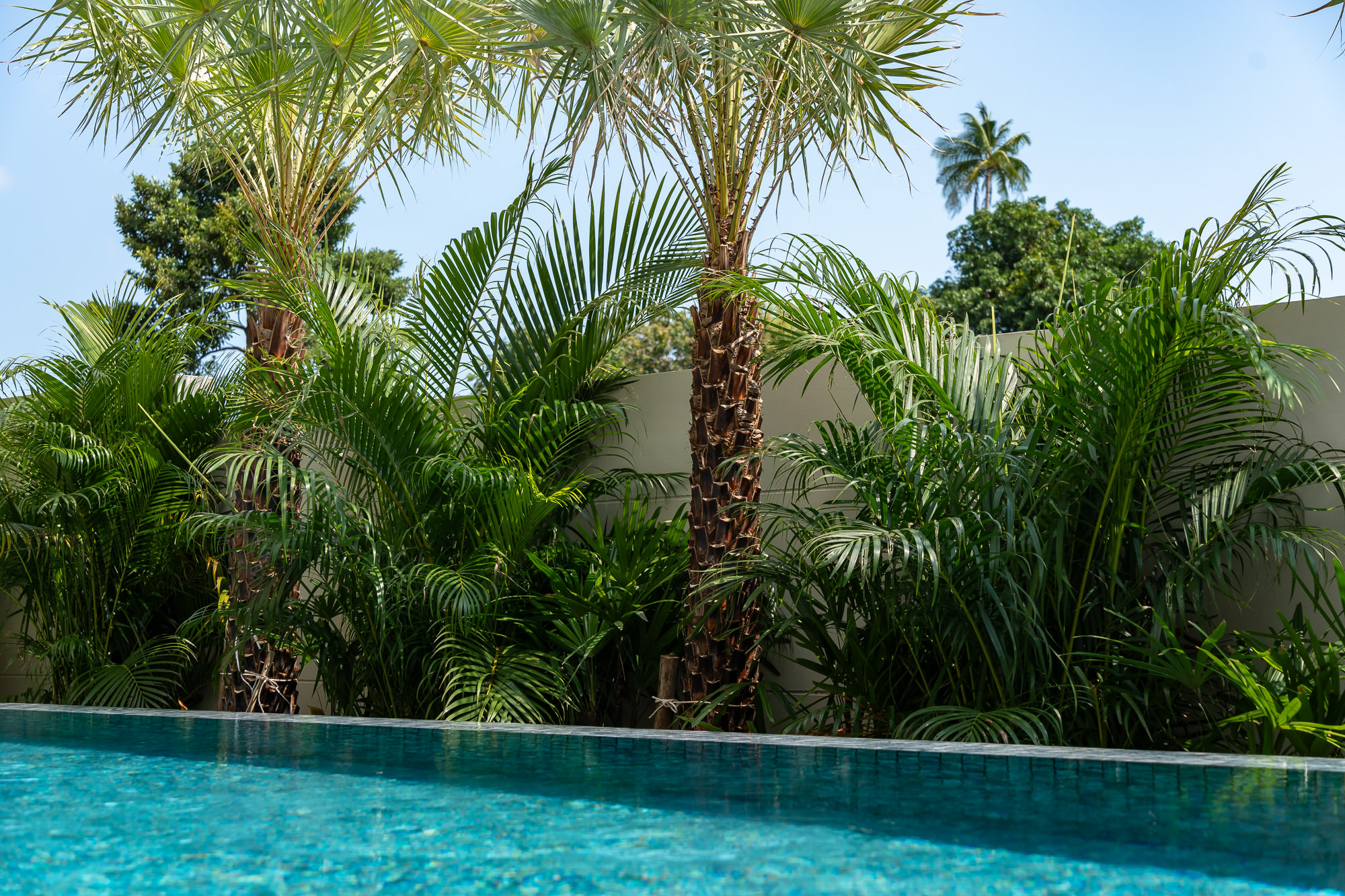 Ocean Villas – Off Plan 3 Bedroom Garden Pool Villa in Chaweng Noi for sale: Ocean Villas – Off Plan 3 Bedroom Garden Pool Villa in Chaweng Noi for sale