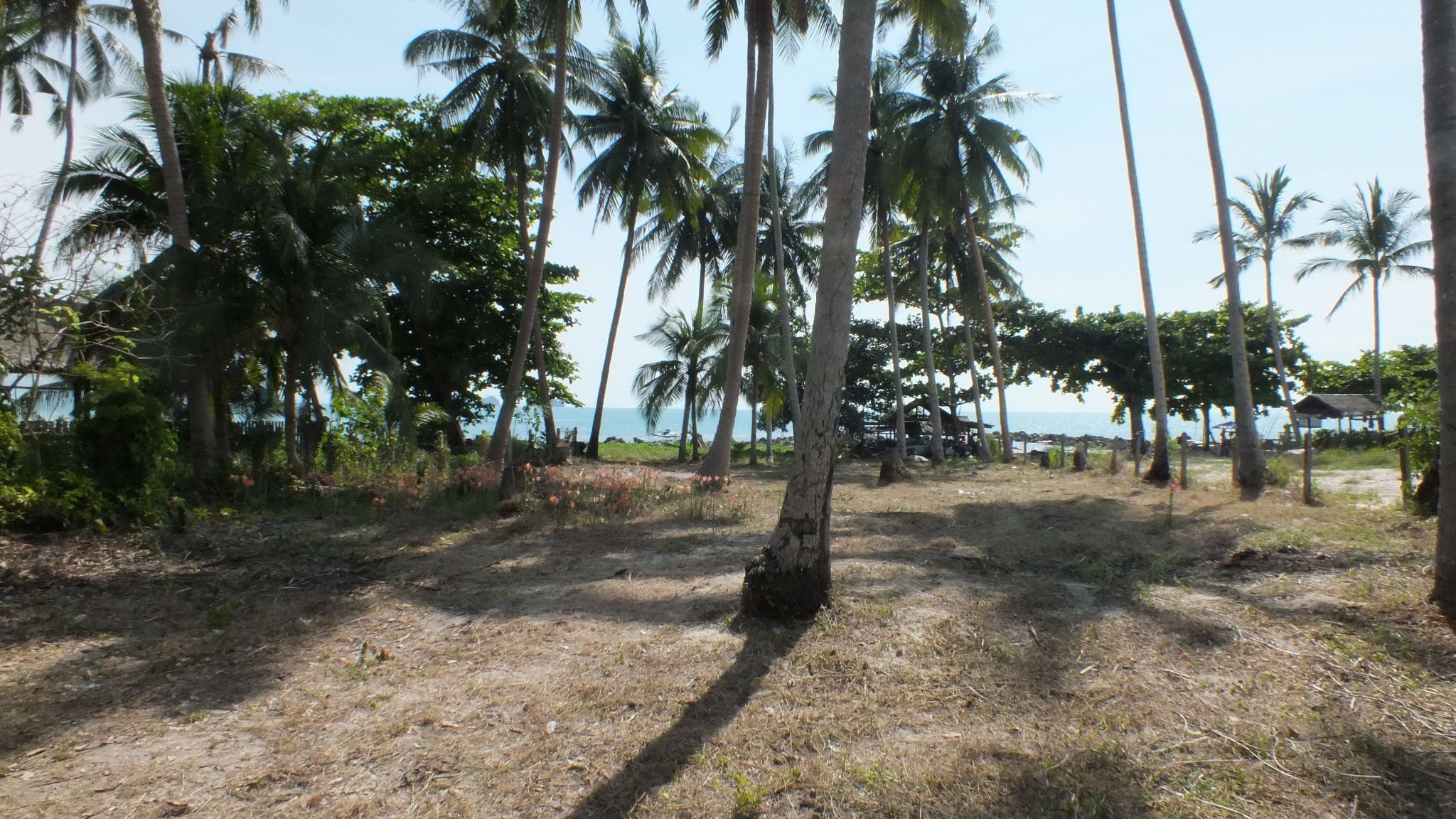 Taling Ngam Beach Plot Of Land for Sale