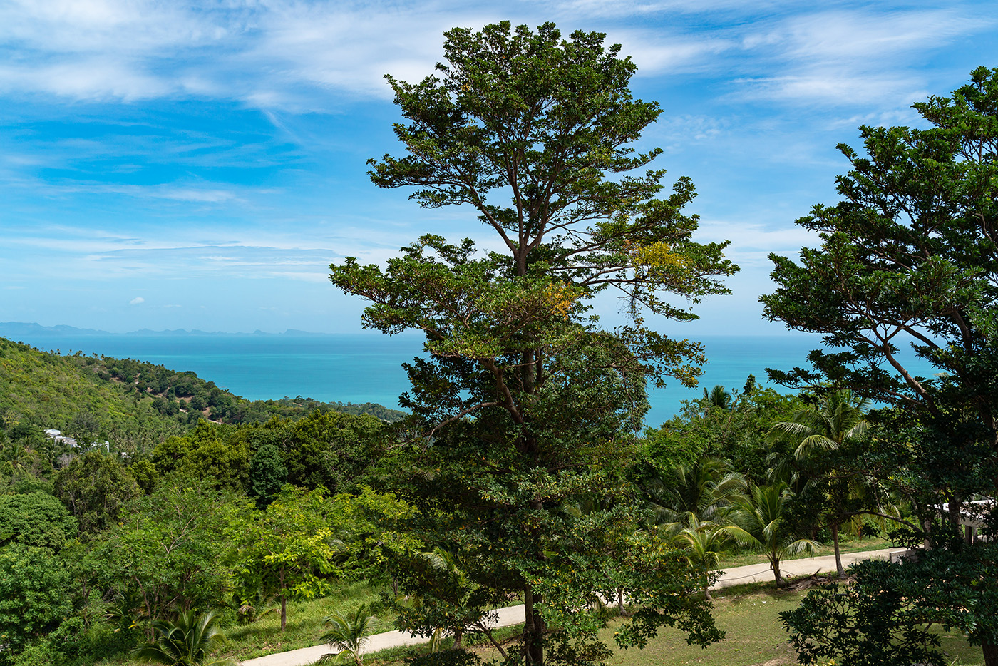 Brand-New 4 Bedroom Seaview Pool Villa in Bang Por for sale