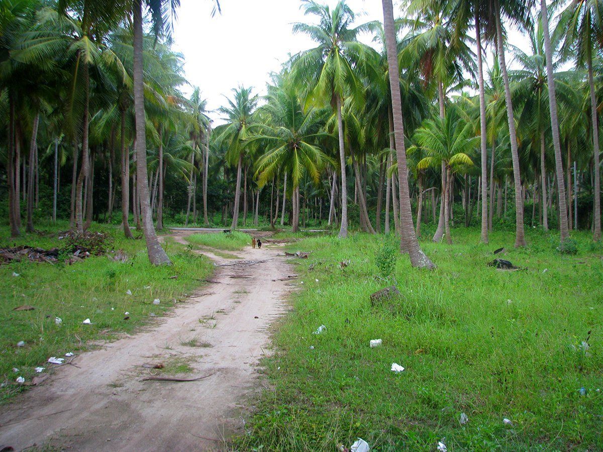(SOLD) Sunset Beachfront Land in Laem Yai