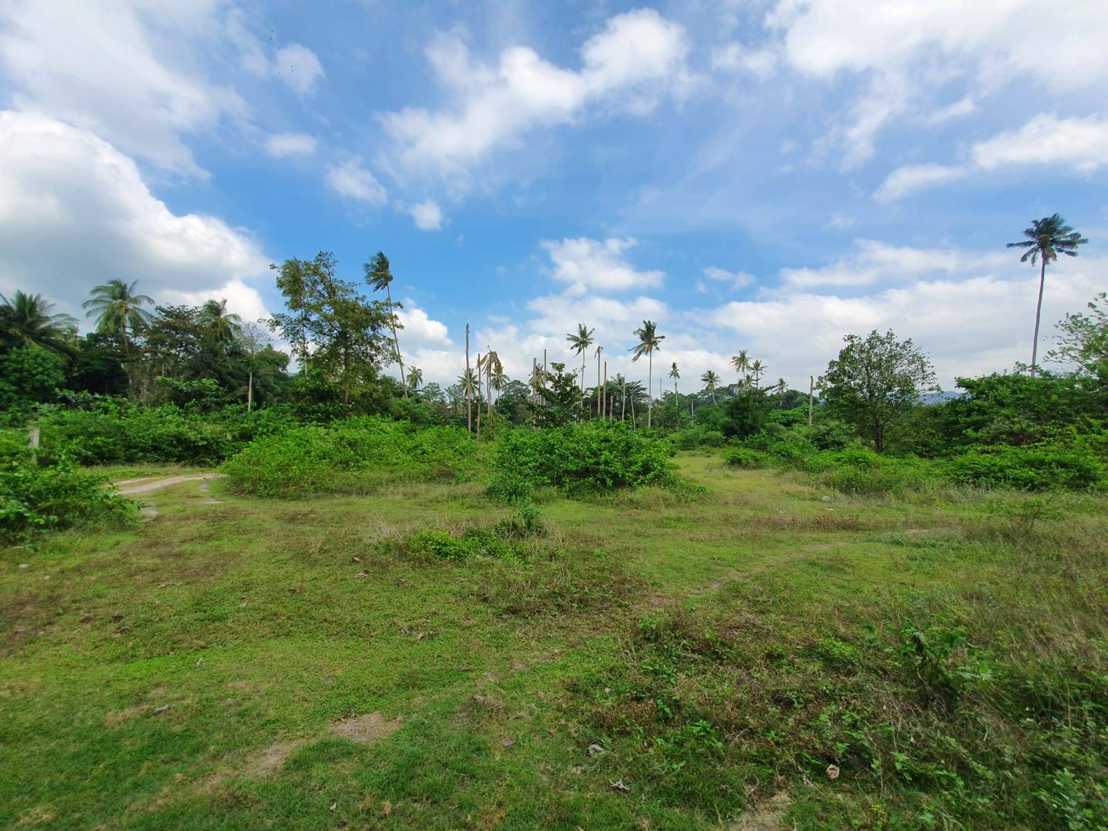 (SOLD) Beach front Land for sale, Bangkao