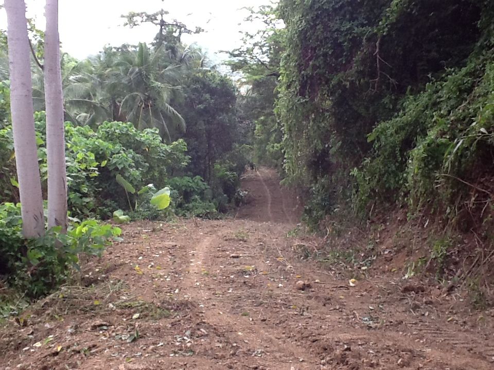 46 rai sea view land at Taling Ngam together with beach front.