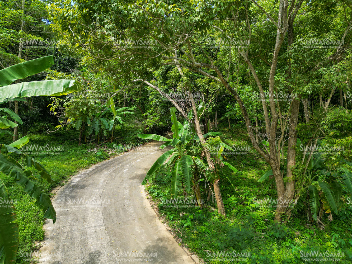 13 Rai Development Land for Sale in Cape Hin Khom, Koh Samui: 13 Rai Development Land for Sale in Cape Hin Khom, Koh Samui