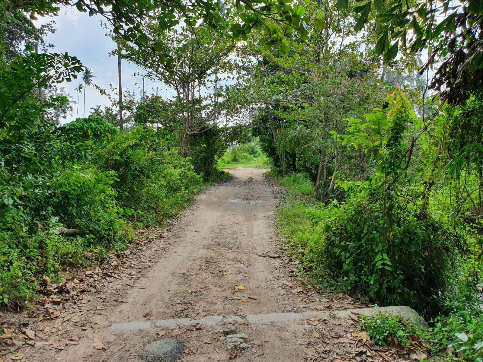 (SOLD) Beach front Land for sale, Bangkao