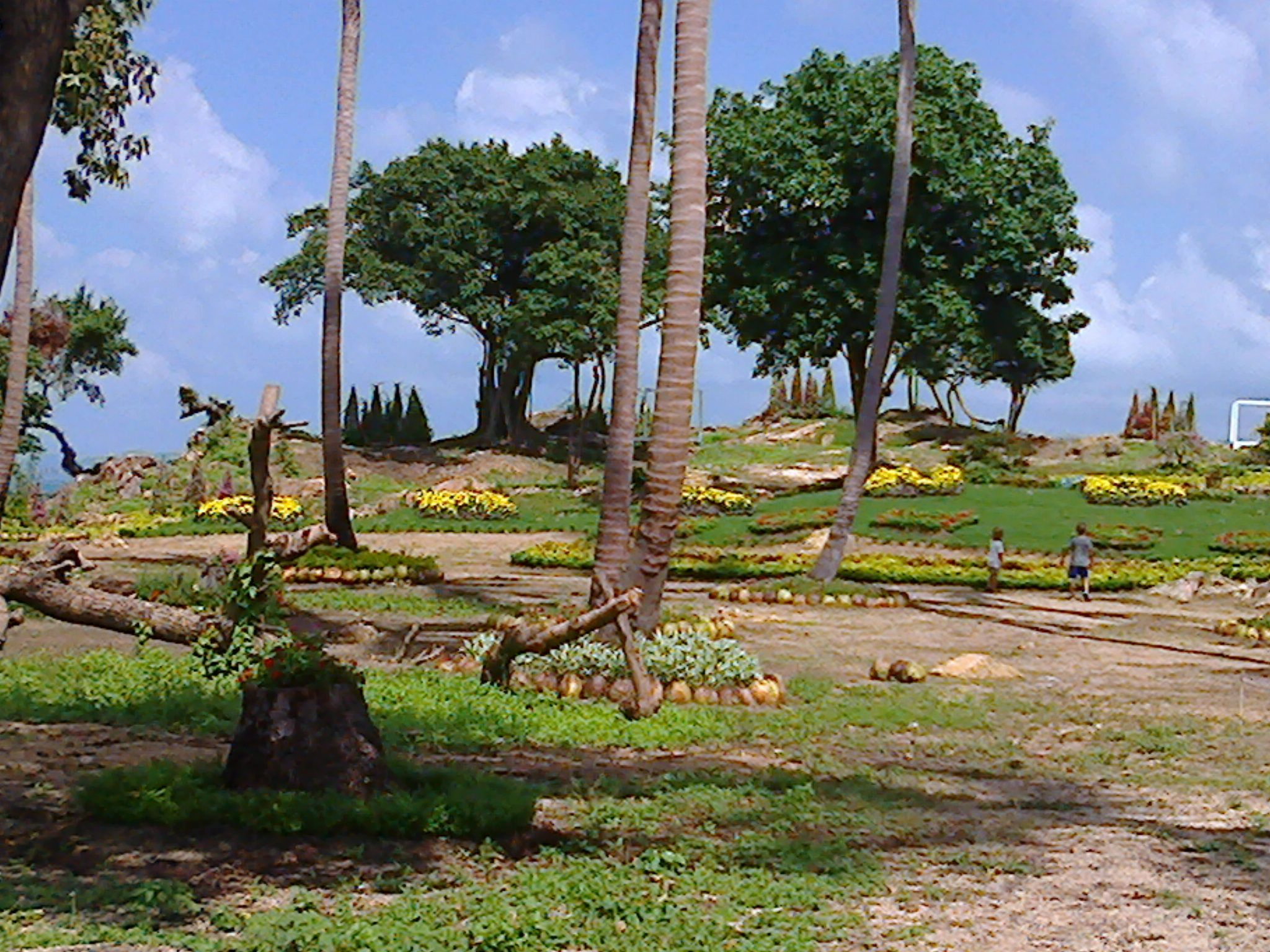 Own a 8 rai land on a private piece of land on Koh Som island.