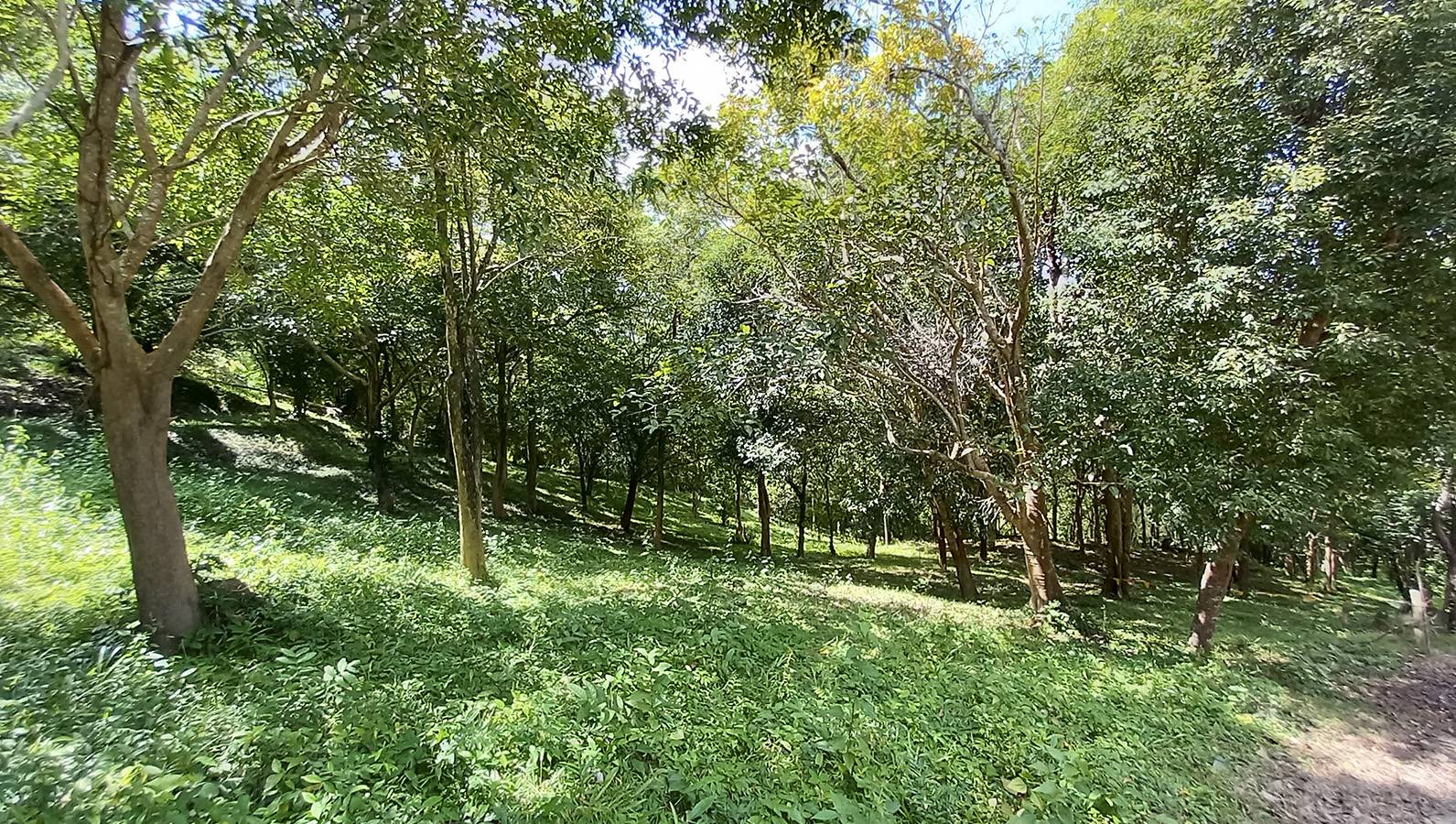 (SOLD) Beautiful small plot of sea view land at Bang Por