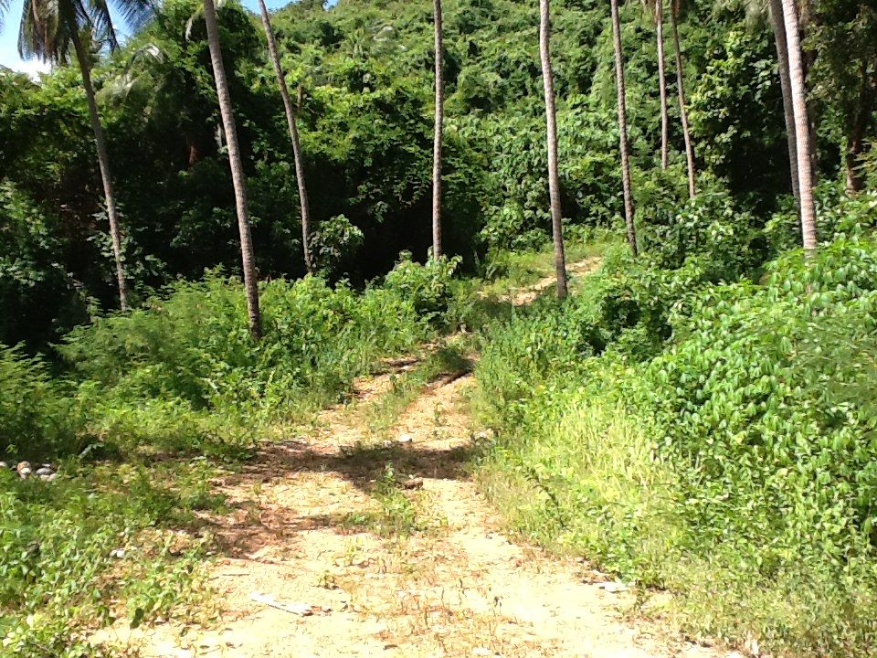 46 rai sea view land at Taling Ngam together with beach front.