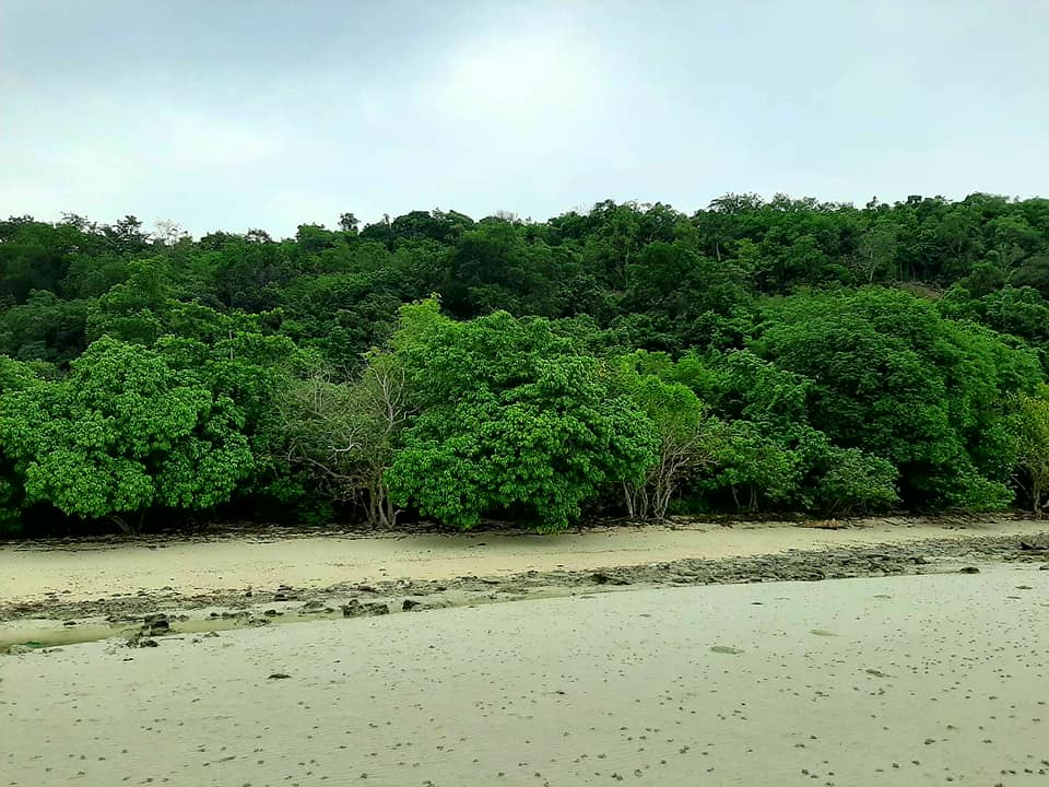 15 Rai beach front land with 300 meters beach front in Koh Tean