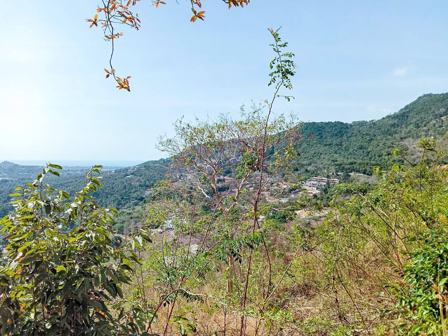 1,800 sq.m. panoramic sea view land located in Bophut: 1,800 sq.m. panoramic sea view land located in Bophut for sale @sunwaysamui