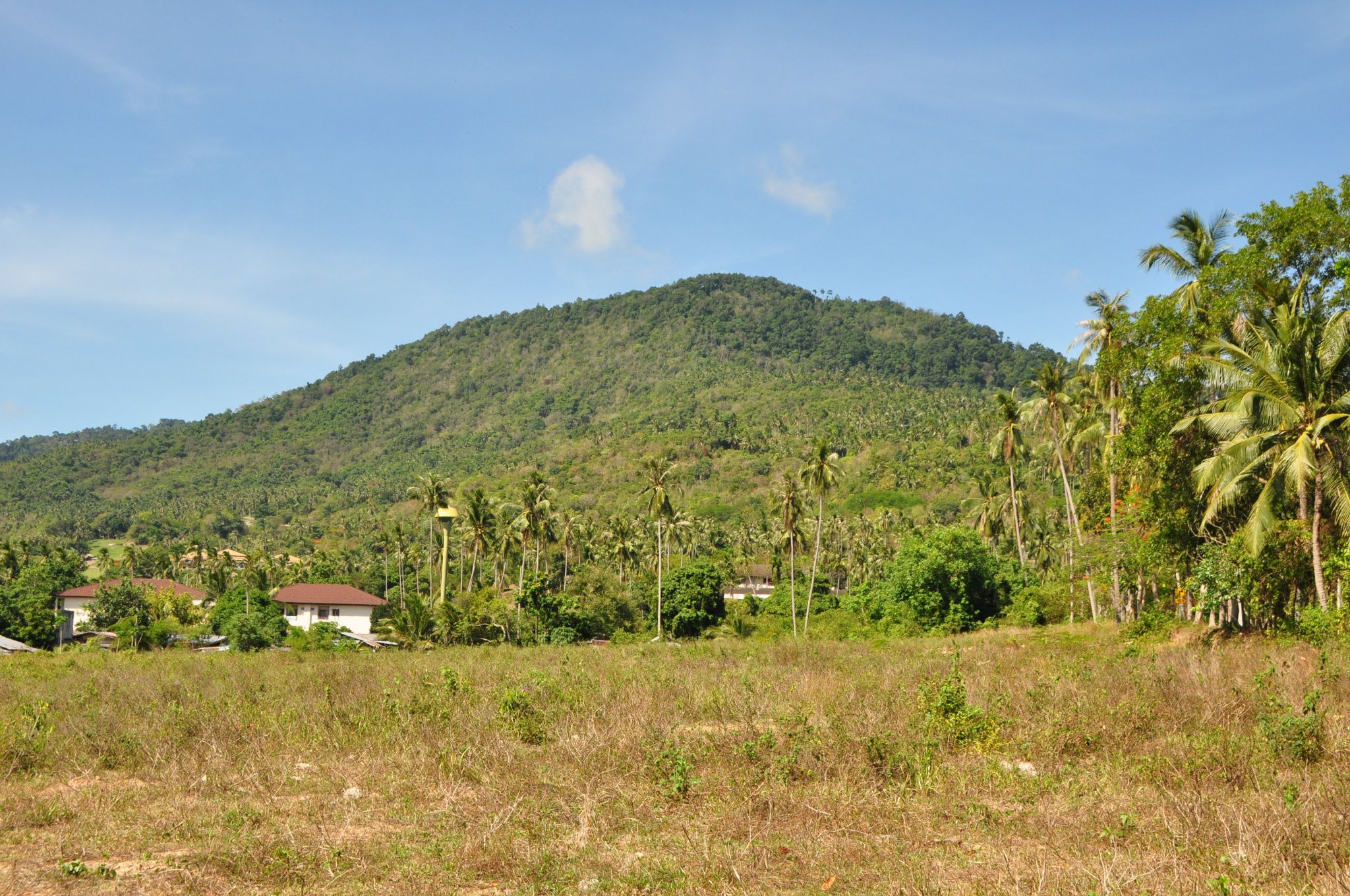 Affordable Plots of Land in Meanam 