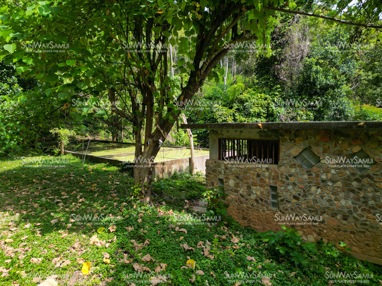 13 Rai Development Land for Sale in Cape Hin Khom, Koh Samui: 13 Rai Development Land for Sale in Cape Hin Khom, Koh Samui