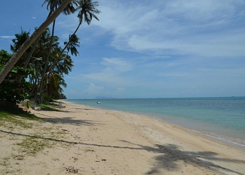 1 Rai beachfront land for sale in North cost of Koh Samui Land "1 Rai beachfront land for sale in North cost of Koh Samui" beachfront, district Bang Por, sale for 35 000 000 baht