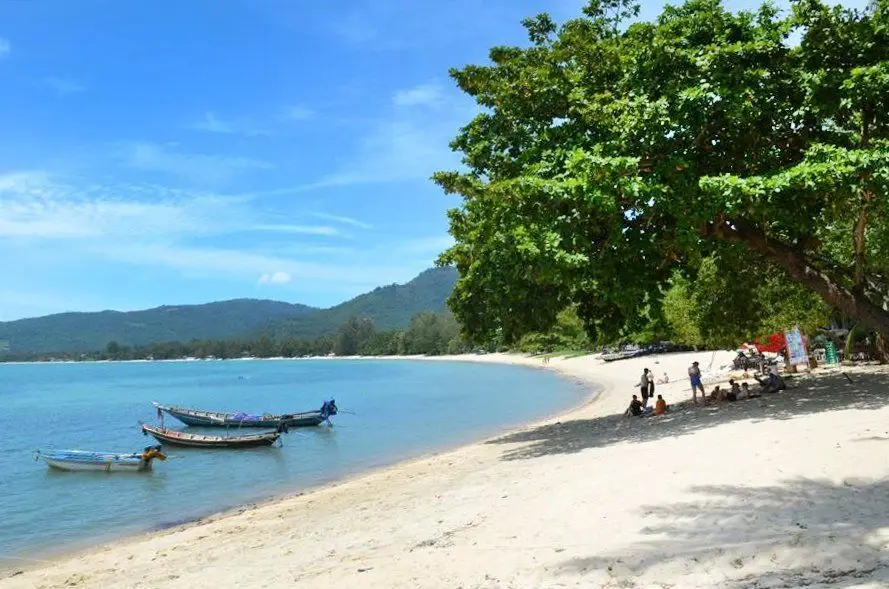1 Rai beachfront land for sale in Lipa Noi 