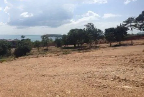 Land "Several adjoining plots with sea views for sale (Chaweng)" sea view, district Chaweng, 