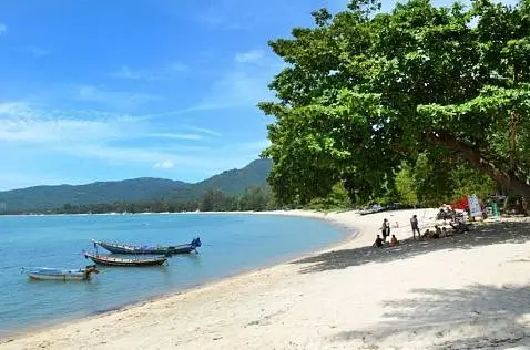 Land "1 Rai beachfront land for sale in Lipa Noi " , district Lipa Noi, 